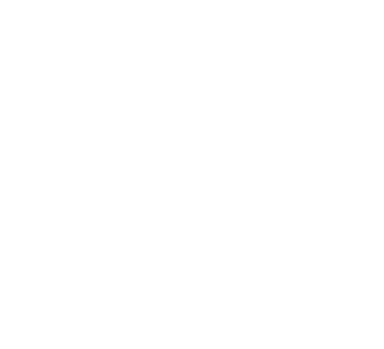 WonkyWilla